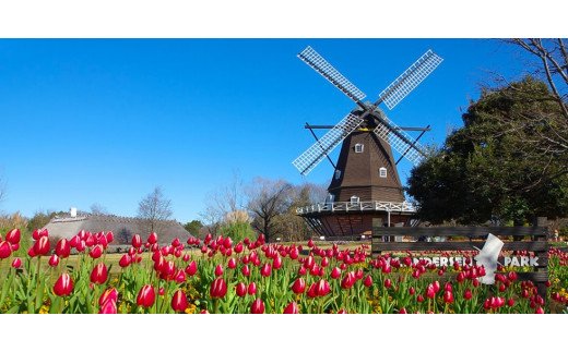 子連れレジャーに】ふなばしアンデルセン公園 入園券(M01)｜船橋市｜千葉県｜返礼品をさがす｜まいふる by AEON CARD