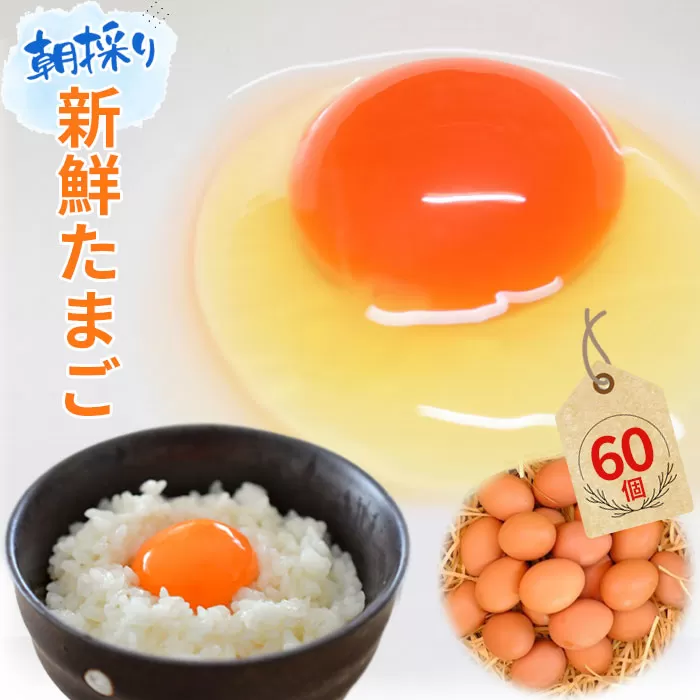 No.051 【60個】美味しい産みたて朝採り新鮮たまご（手集卵）ミネラルエッグ