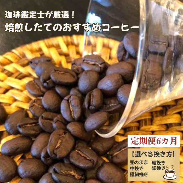 No.178-05 【毎月定期便6回】珈琲鑑定士が厳選！焙煎したてのおすすめコーヒー（極細挽き）