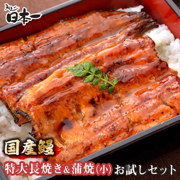 No.192 【日本一】国産うなぎ　特大長焼き+うなぎ蒲焼小90g　お試しセット