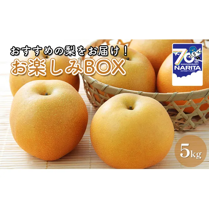 お楽しみBOX おすすめの梨をお届け 梨 7種 セット 詰め合わせ 豊水 秋月 かおり 新星 新高 甘太 にっこり なし ナシ 和梨 果物 くだもの フルーツ 旬のフルーツ 旬の果物 デザート 千葉 千葉県 成田市