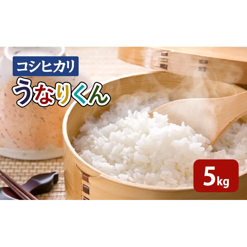 【令和6年度産】「コシヒカリ」うなりくん 5kg 白米 精米 米 こしひかり 成田市 千葉県