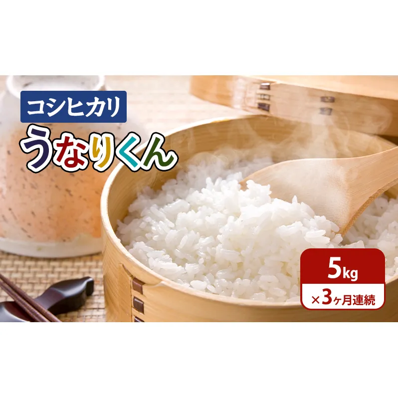 【令和6年度産】3ヶ月連続お届け「コシヒカリ」うなりくん5kg 白米 精米 米 こしひかり 成田市 千葉県