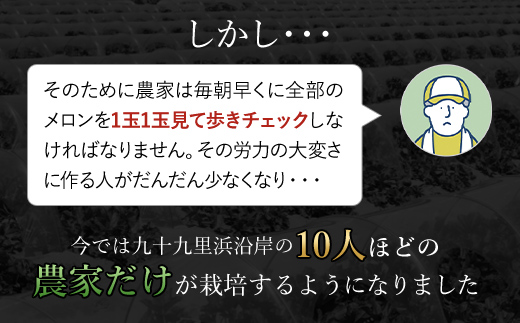 2025年分先行予約】幻のナイルメロン 全国で10人ほどの農家でしか栽培されていない幻のメロン 約1.5kg×2玉 / メロン ナイルメロン 幻のメロン  甜瓜 青肉 青肉メロン 千葉県 山武市 SMAE001｜山武市｜千葉県｜返礼品をさがす｜まいふる by AEON CARD