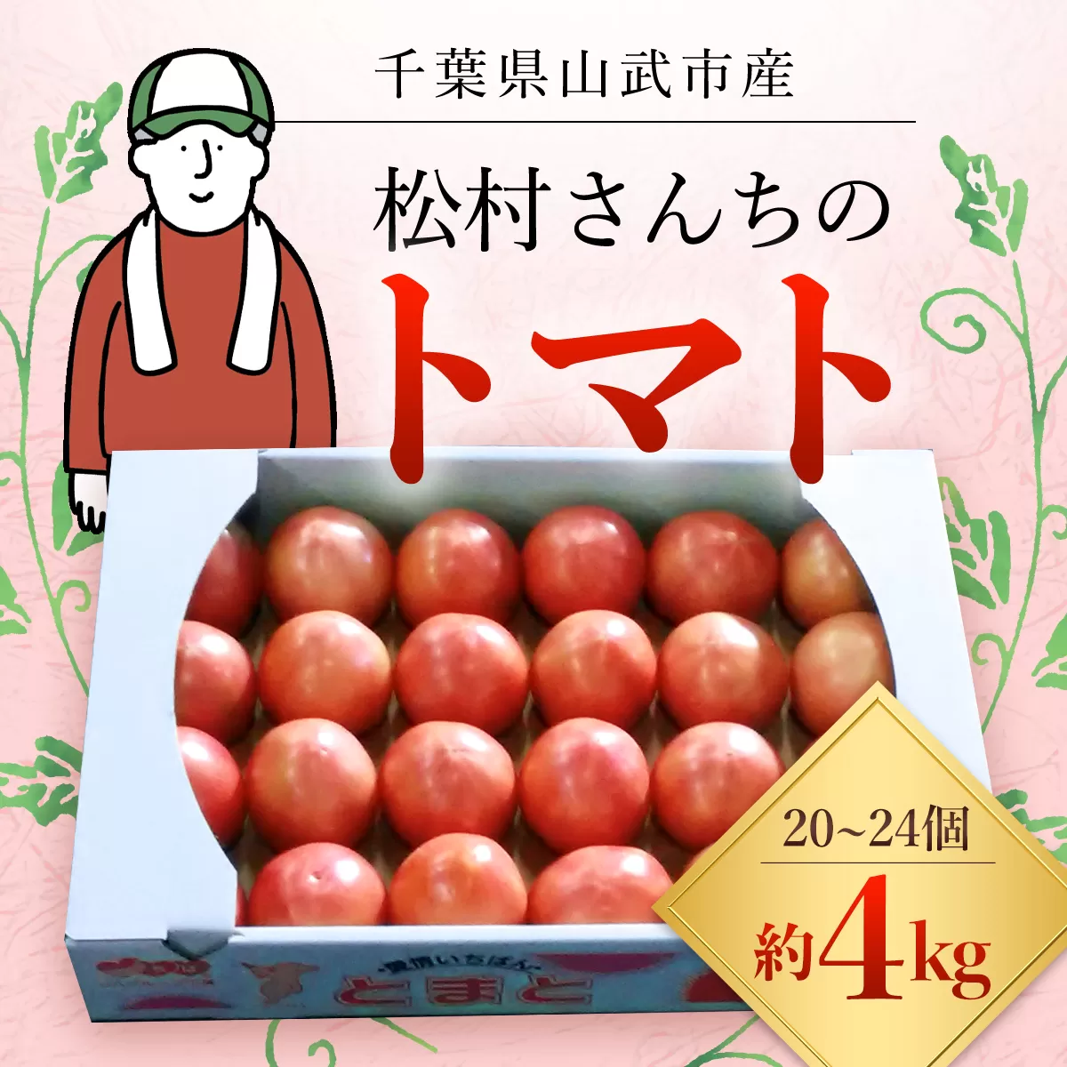 【先行予約/10月中旬発送開始】松村さんちのトマト1箱（20～24個・約4kg）/ トマト とまと 野菜 夏野菜 先行予約 千葉県 山武市 SMAE002