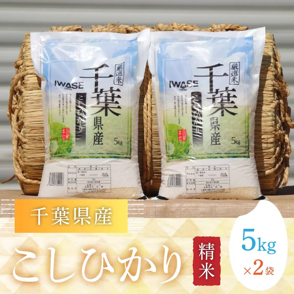 【新米】令和6年産 千葉県産コシヒカリ(精米)10kg[5kg×2袋] G001