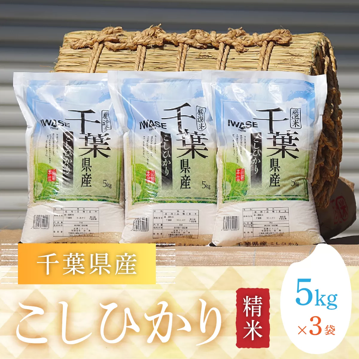 【新米】令和6年産 千葉県産コシヒカリ(精米)15kg[5kg×3袋] G002