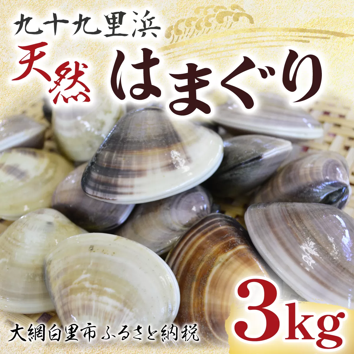 【先行受付2024年10月配送】九十九里浜　天然はまぐり　3kg【厳選】 P002