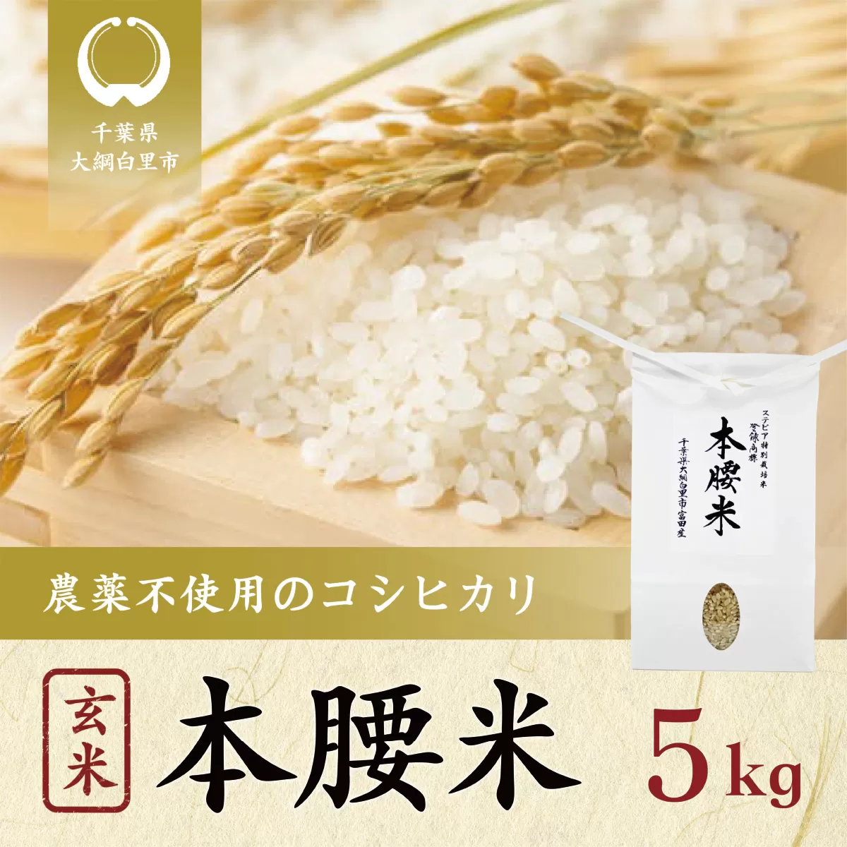 本腰米5kg 玄米 千葉県産コシヒカリ 農薬不使用 F005