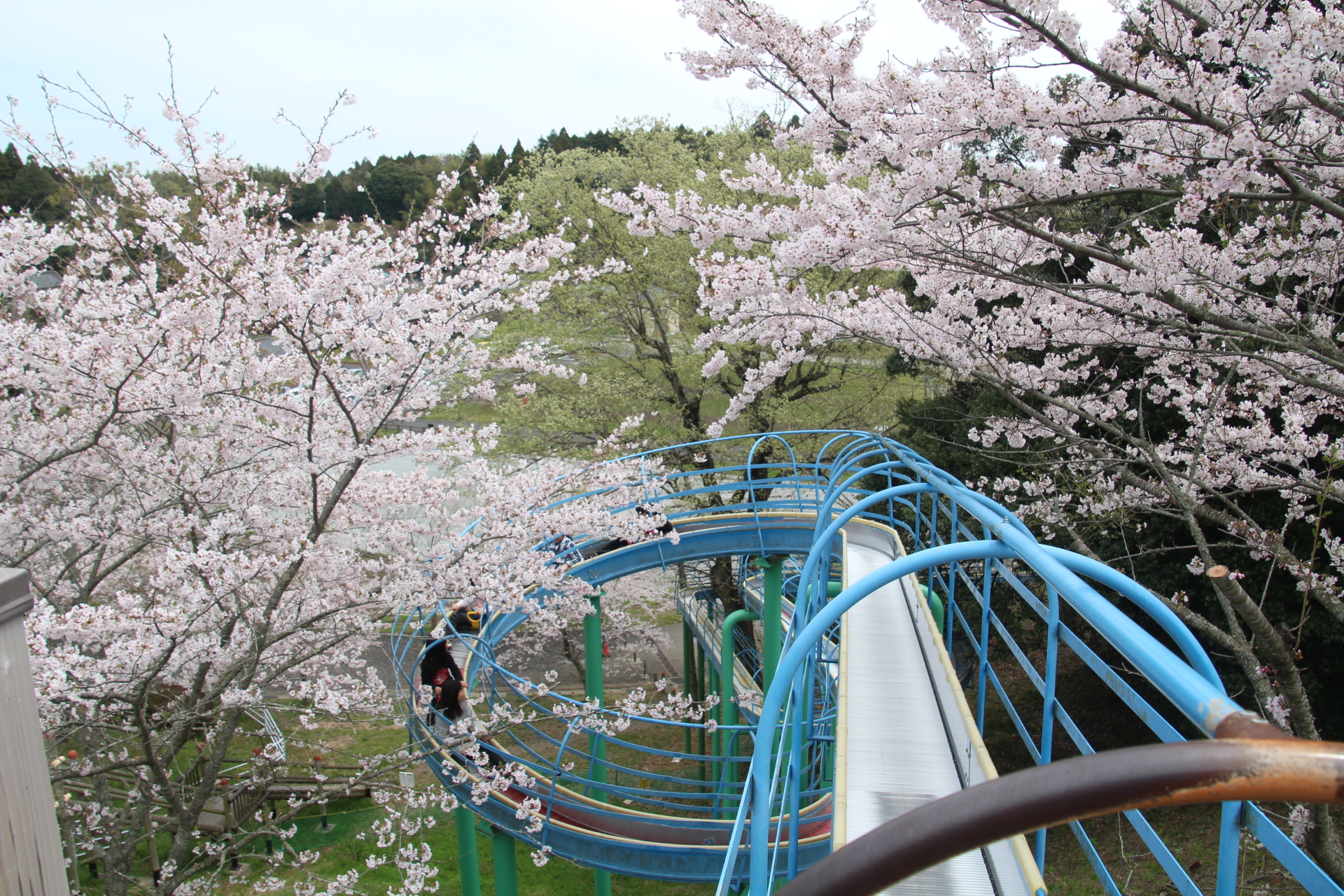 小中池公園