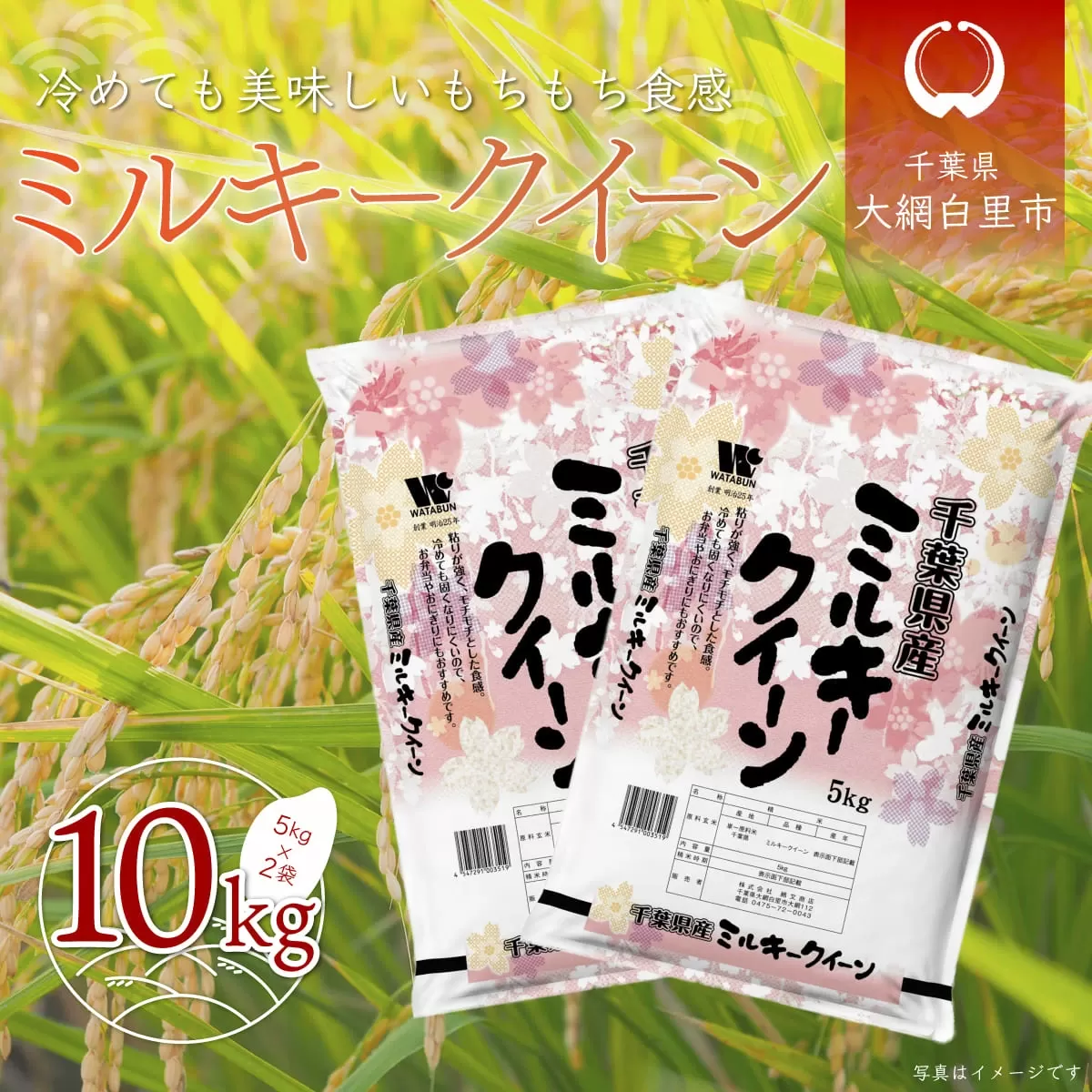 【新米】令和6年産 千葉県産「ミルキークイーン」10kg（5kg×2袋） A007