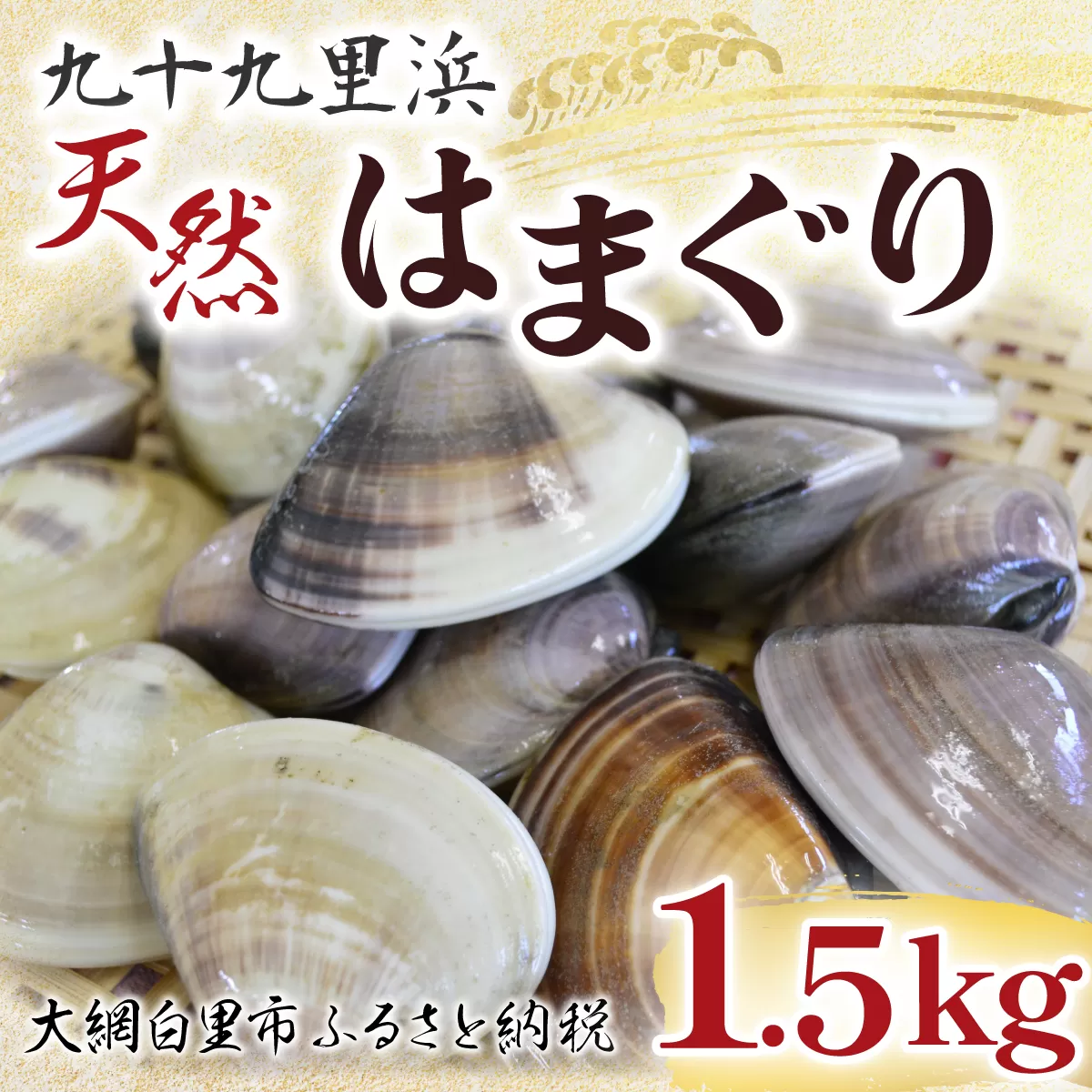 【先行受付2024年10月配送】九十九里浜　天然はまぐり　1.5kg【厳選】P007