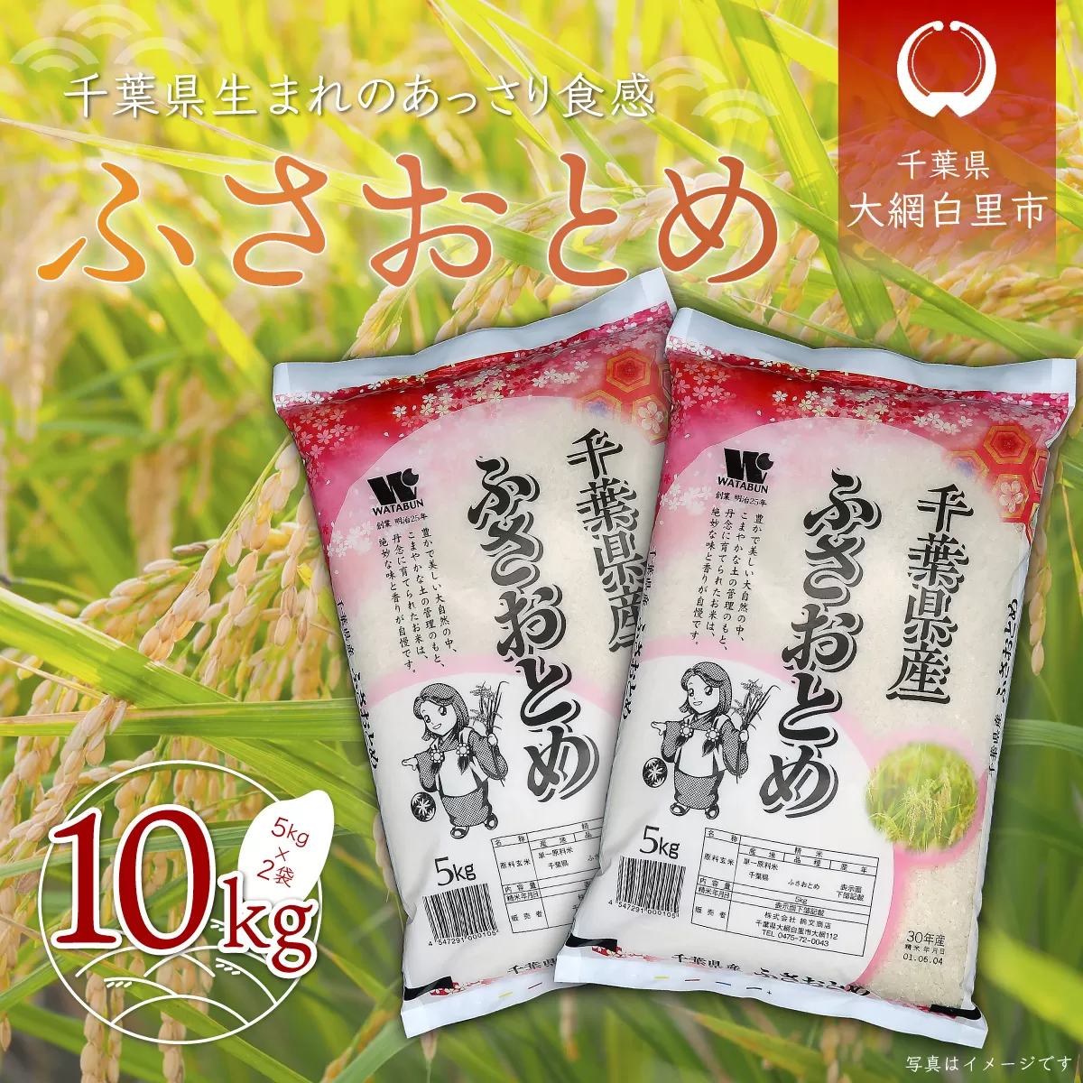 【新米】令和6年産 千葉県産「ふさおとめ」10kg（5kg×2袋） A003