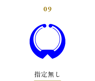 ９．市の活動全般への活用【指定無し】