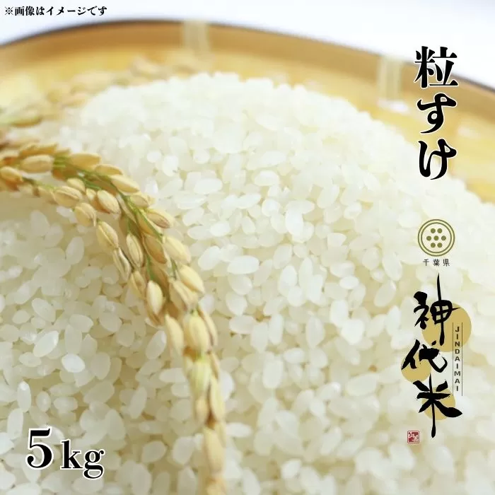 ふっくら食感と甘みが大人気!神代米(粒すけ) 精白米 5kg お米 おこめ 米 こめ コメ 大粒 甘み ふっくら 新米 コシヒカリ こしひかり 精米 一等米 5kg 送料無料