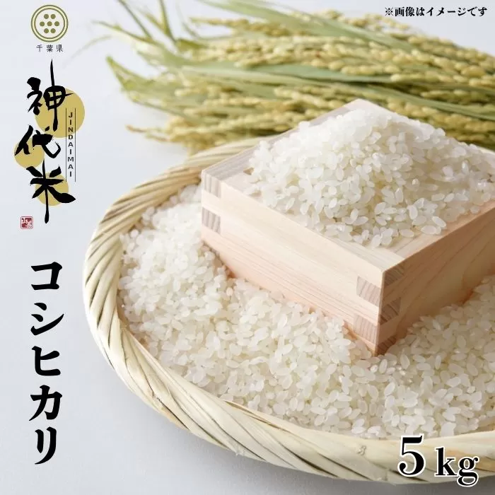 大人気!神代米(コシヒカリ) 精白米 5kg お米 おこめ 米 こめ コメ 大粒 甘み ふっくら 新米 コシヒカリ こしひかり 精米 一等米