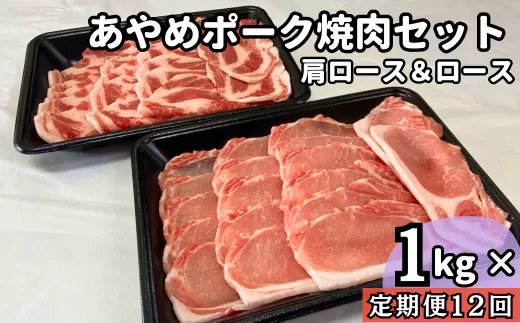 [定期便12ヶ月]あやめポーク焼肉セット 肩ロース(500g)&ロース(500g)計1kg 国産 国産豚 豚肉 焼肉 やきにく バーベキュー BBQ SPF 大人気 ホームパーティー 食べ放題 おうち焼肉 ホットプレート 炭火焼肉 定期便 便利