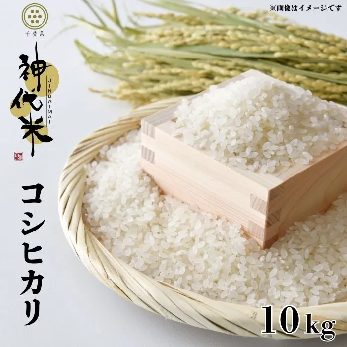 ふっくら食感と甘みが大人気!神代米(コシヒカリ) 精白米 10kg お米 おこめ 米 こめ コメ 大粒 甘み ふっくら 新米 コシヒカリ こしひかり 精米 一等米