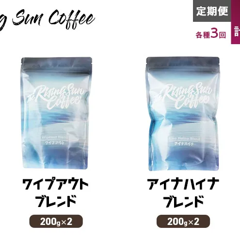 豆ワイプアウトブレンド 200g×2 or アイナハイナブレンド 200g×2交互　定期便各3回　合計6回 コーヒー 珈琲 オリジナル 飲み比べ SUNNY 坂口憲二 九十九里町 千葉県