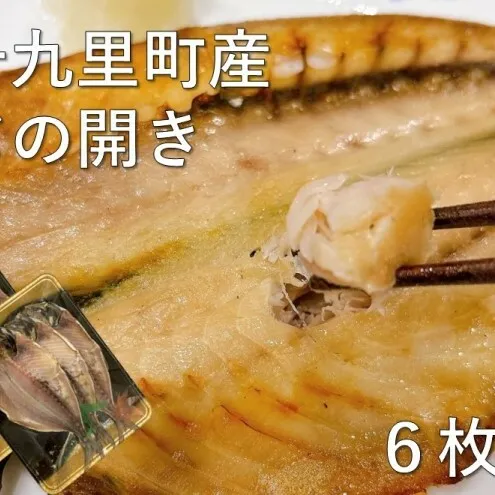 魚 アジ 干物 九十九里産 あじの開き 6枚 あじ 開き 加工品