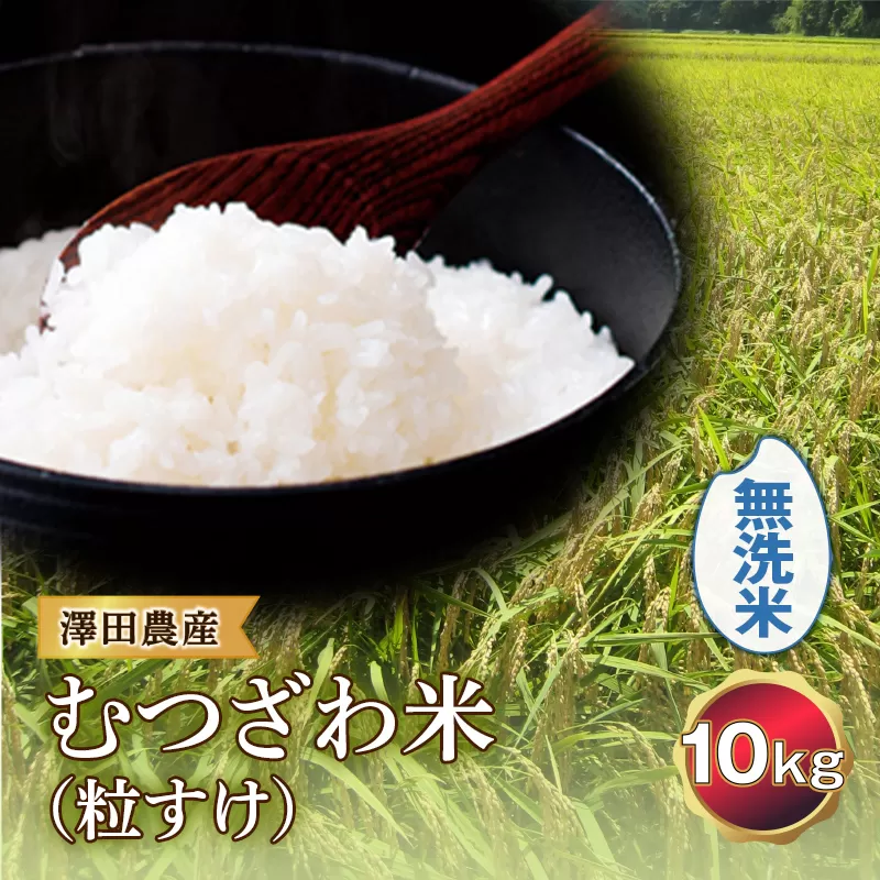 令和5年産米 むつざわ米（粒すけ）無洗米 10kg 澤田農産 F21G-196