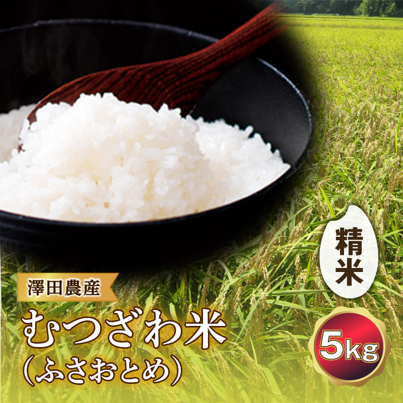 令和5年産米 むつざわ米（ふさおとめ）精米 5kg 澤田農産 F21G-124｜睦沢町｜千葉県｜返礼品をさがす｜まいふる by AEON CARD