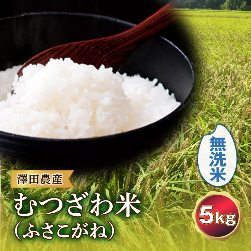 令和5年産米 むつざわ米 （ふさこがね） 無洗米 5kg 澤田農産 F21G-162