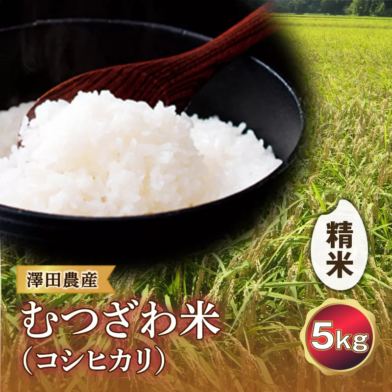 令和5年産米 むつざわ米（コシヒカリ）精米 5kg 澤田農産 F21G-131