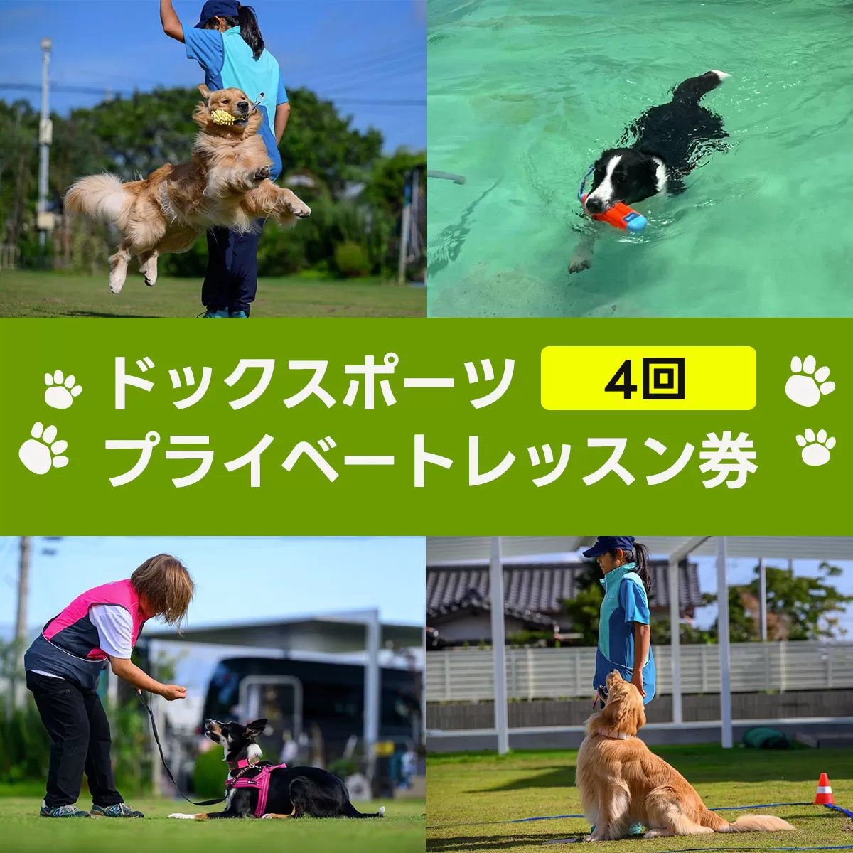 ドックスポーツ プライベートレッスン券（4回） ふるさと納税 ドッグスポーツ 利用券 チケット 犬 イヌ 千葉県 白子町 送料無料 SHAI002