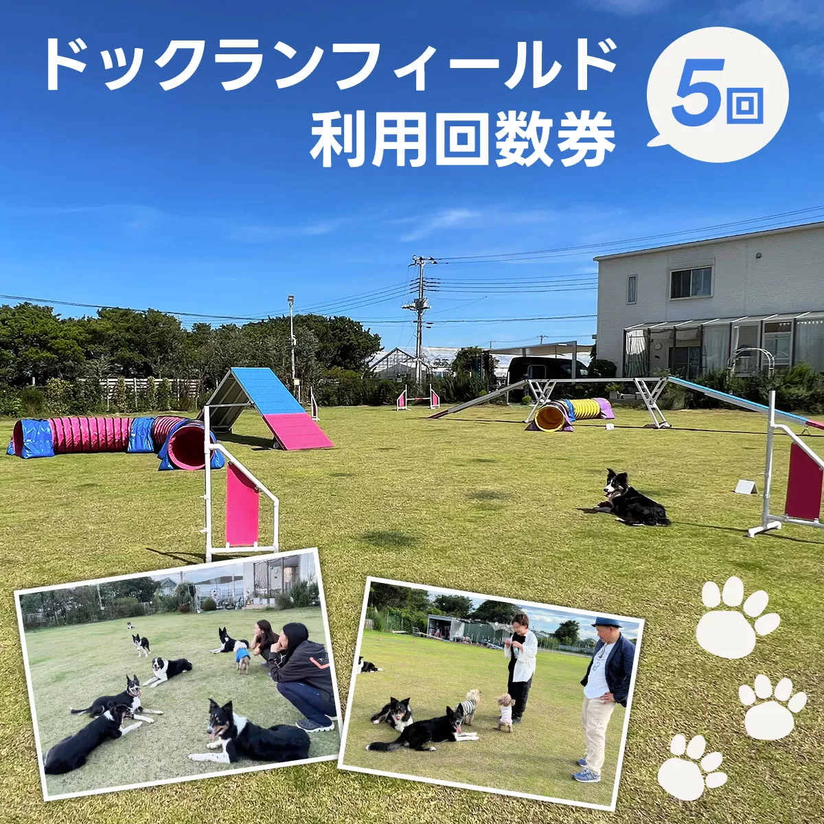 ドックランフィールド利用回数券（5回） ふるさと納税 ドッグスポーツ 利用券 チケット 犬 イヌ 千葉県 白子町 送料無料 SHAI007