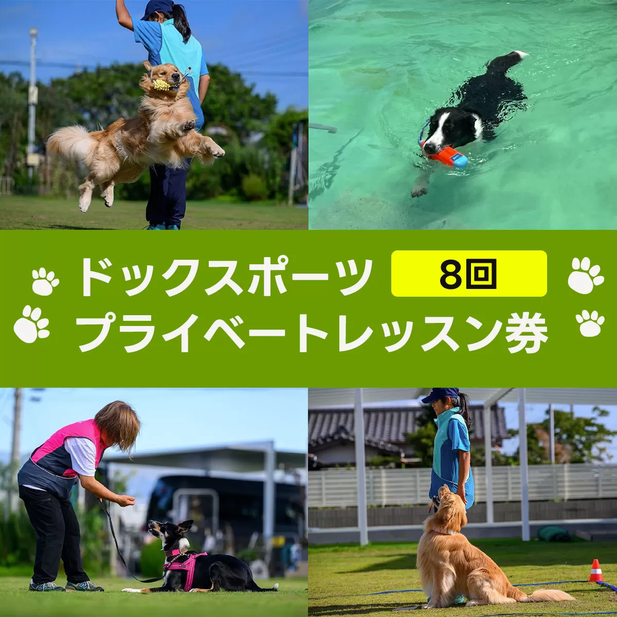 ドックスポーツ プライベートレッスン券（8回） ふるさと納税 ドッグスポーツ 利用券 チケット 犬 イヌ 千葉県 白子町 送料無料 SHAI003