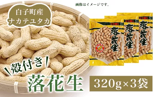 【先行予約10月下旬発送】白子町産ナカテユタカ 殻付き落花生 320g×3袋（A） SHJ001