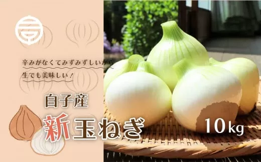 【令和7年の先行予約募集・数量限定】生で食べても美味しい！白子産の新玉ねぎ10kg SHK001