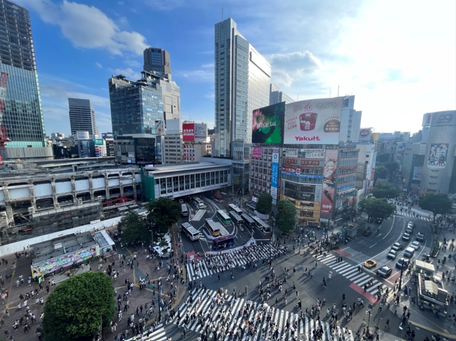 東京都渋谷区