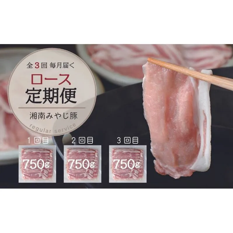 【毎月定期便】ブランド豚肉 みやじ豚ロース750g しゃぶしゃぶ肉 すき焼き 鍋 定期便 全3回