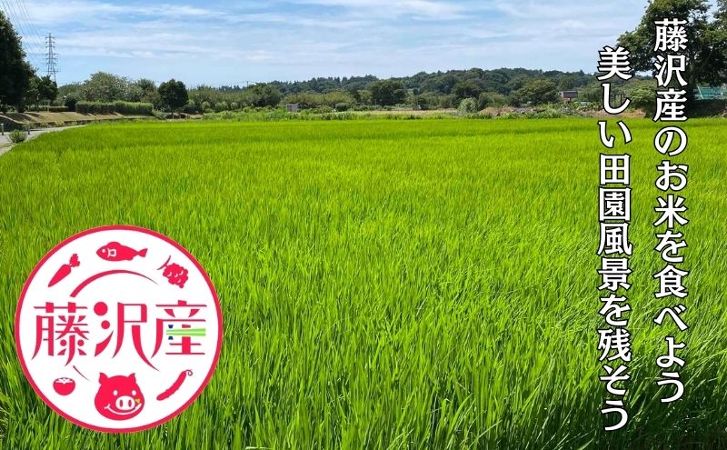 注文 【特別価格！】美味しさ保証！神奈川県産はるみ・霜島農園の安全で新鮮なお米をお届けします！