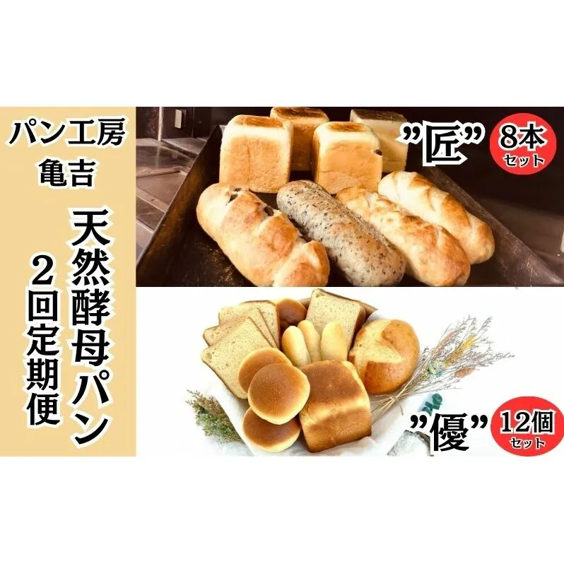 パン 食パン 【2ヵ月定期便】 天然酵母パン "匠" 8本 ”優”12個 亀吉パン遊房 生食パン 国産小麦 天然酵母 レーズン 黒糖 詰め合わせ セット 神奈川 藤沢