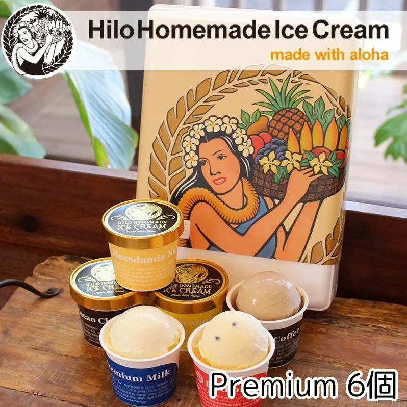 アイス Hilo Homemade Ice Cream プレミアムアイスクリーム 6個 セット ヒロホームメイドアイス スイーツ おやつ デザート 手作り ギフト 贈答 お取り寄せ 冷凍 神奈川 藤沢