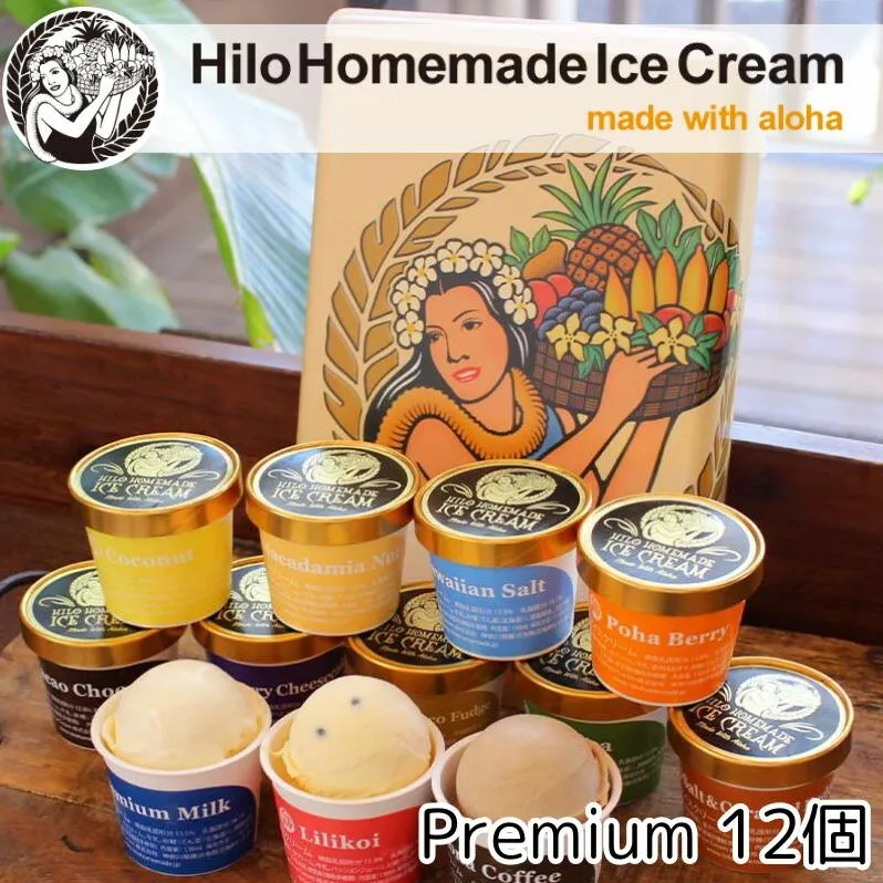 アイス Hilo Homemade Ice Cream プレミアムアイスクリーム 12個 セット ヒロホームメイドアイス スイーツ おやつ デザート 手作り ギフト 贈答 お取り寄せ 冷凍 神奈川 藤沢