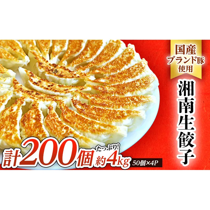 餃子 湘南 生 ぎょうざ 20g×200個 大容量 セット 生餃子 ルイビ豚 冷凍餃子 ブランド豚 ギョーザ おかず 総菜 おつまみ つまみ ごはんのお供 中華 お取り寄せ 焼き餃子 冷凍 神奈川県 神奈川 藤沢