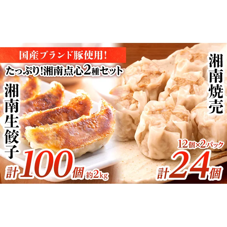 餃子 湘南 ぎょうざ 100個 + しゅうまい 24個 大容量 セット 生餃子 ルイビ豚 冷凍餃子 ブランド豚 ギョーザ シューマイ おかず 総菜 おつまみ つまみ お弁当 ごはんのお供 中華 冷凍 神奈川 藤沢 A1