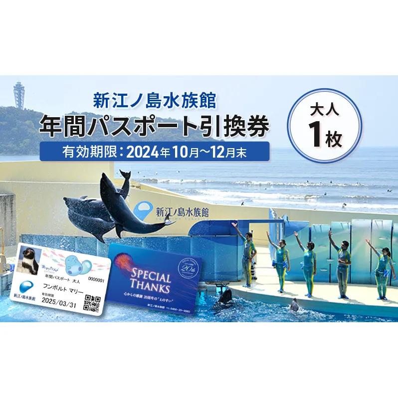 チケット 神奈川 【新江ノ島水族館】年間パスポート引換券(大人1枚) 有効期間2024年10月～12月末まで 水族館 パスポート 入場券 江ノ島 藤沢市 神奈川県 プレゼント ギフト