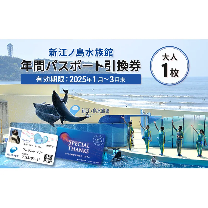 チケット 神奈川 【新江ノ島水族館】年間パスポート引換券(大人1枚) 有効期間2025年1月～3月末まで 水族館 パスポート 入場券 江ノ島 藤沢市 神奈川県 プレゼント ギフト