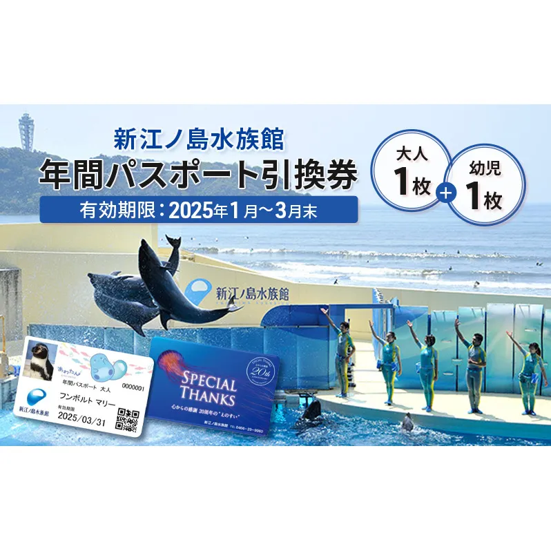 チケット 神奈川 【新江ノ島水族館】年間パスポート引換券(大人1枚+幼児1枚) 有効期間2025年1月～3月末まで 水族館 パスポート 入場券 江ノ島 藤沢市 神奈川県 プレゼント ギフト