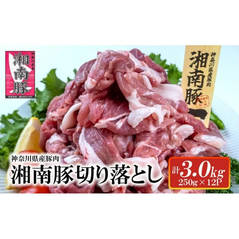 湘南豚　切り落し　3.0kg【神奈川県産豚】 豚肉 切り落とし 国産 肉 ポーク 小分け 250g 冷凍 生姜焼き 野菜炒め 豚汁 豚丼 人気 おすすめ 藤沢市