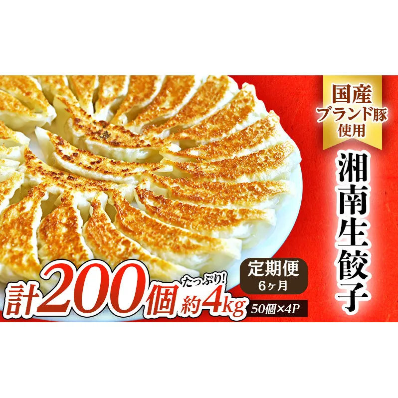 6ヶ月定期便 餃子 湘南 生 ぎょうざ 20g×200個 大容量 セット 生餃子 ルイビ豚 冷凍餃子 ブランド豚 ギョーザ おかず 総菜 おつまみ つまみ ごはんのお供 中華 お取り寄せ 焼き餃子 冷凍 