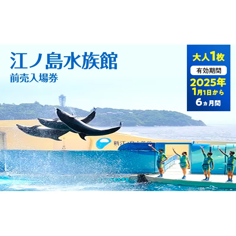 チケット 神奈川 【新江ノ島水族館】前売入場券（大人1枚）有効期間2025年1月1日～6ヵ月間 水族館 前売 入場券 江ノ島 藤沢市 神奈川県 プレゼント ギフト