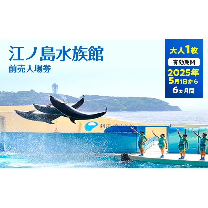 チケット 神奈川 【新江ノ島水族館】前売入場券（大人1枚）有効期間2025年5月1日～6ヵ月間 水族館 前売 入場券 江ノ島 藤沢市 神奈川県 プレゼント ギフト