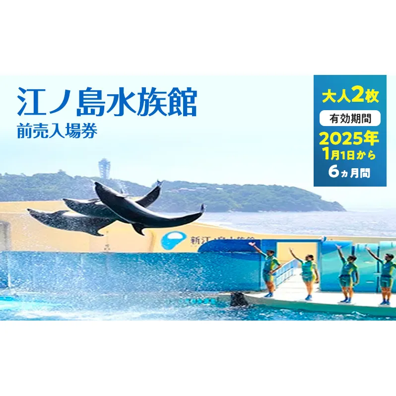 チケット 神奈川 【新江ノ島水族館】前売入場券（大人2枚）有効期間2025年1月1日～6ヵ月間 水族館 前売 入場券 江ノ島 藤沢市 神奈川県 プレゼント ギフト