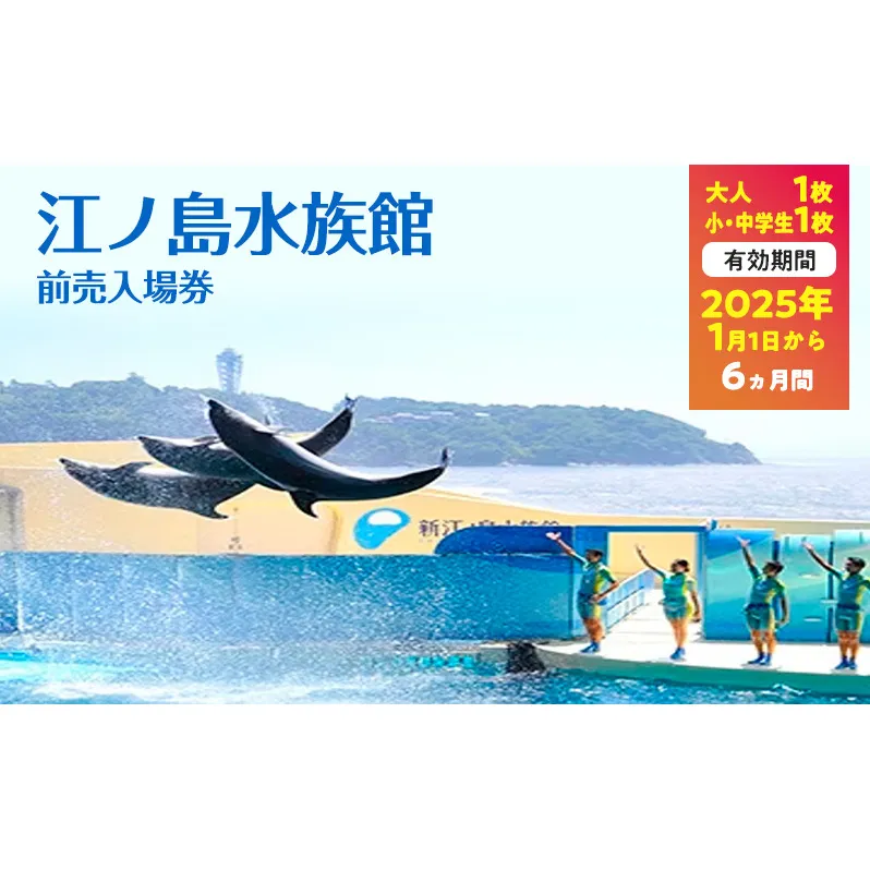 チケット 神奈川 【新江ノ島水族館】前売入場券（大人1枚、小・中学生1枚）有効期間2025年1月1日～6ヵ月間 水族館 前売 入場券 江ノ島 藤沢市 神奈川県 プレゼント ギフト